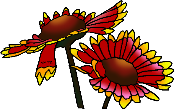 State Wild Flower Of Oklahoma - Indian Blanket Flower Clipart (589x372), Png Download