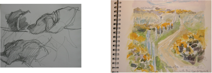 Taking A Nap Pencil Drawing From Sketchbook (right) - Sketch (718x248), Png Download