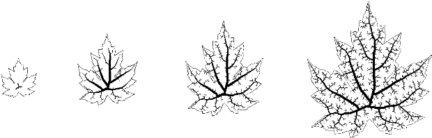 Veins Transparent - Sticker (700x256), Png Download