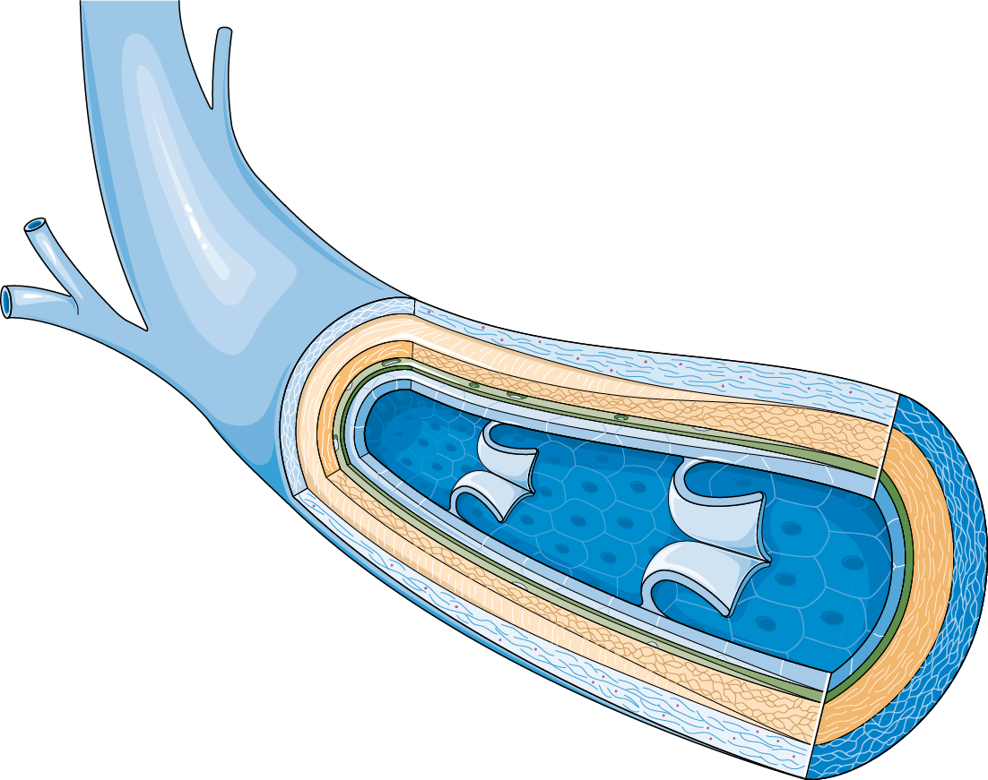 Download The Image - Software Repository (1102x871), Png Download