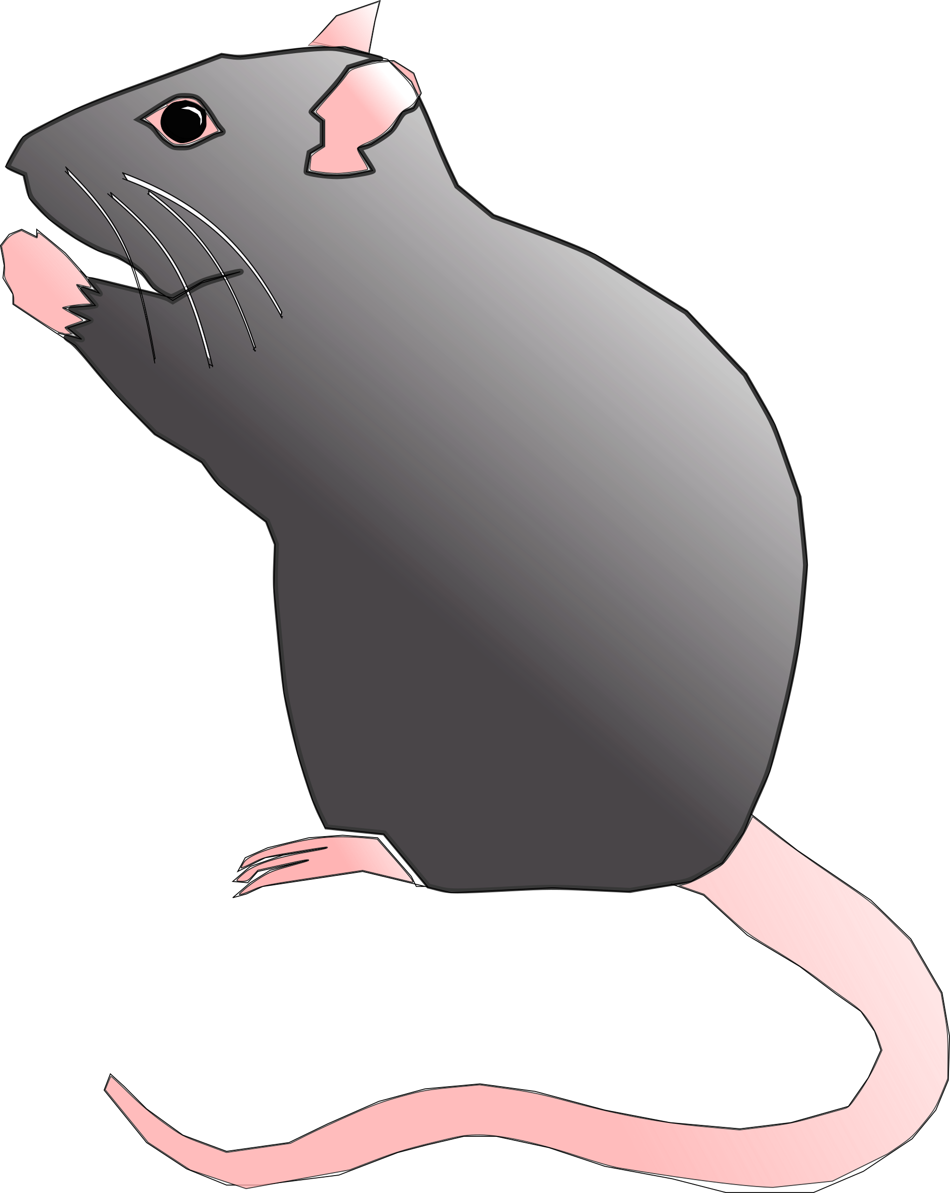Rat, Rodent, Pest, Mouse, Animal - Rat Clipart (1020x1280), Png Download