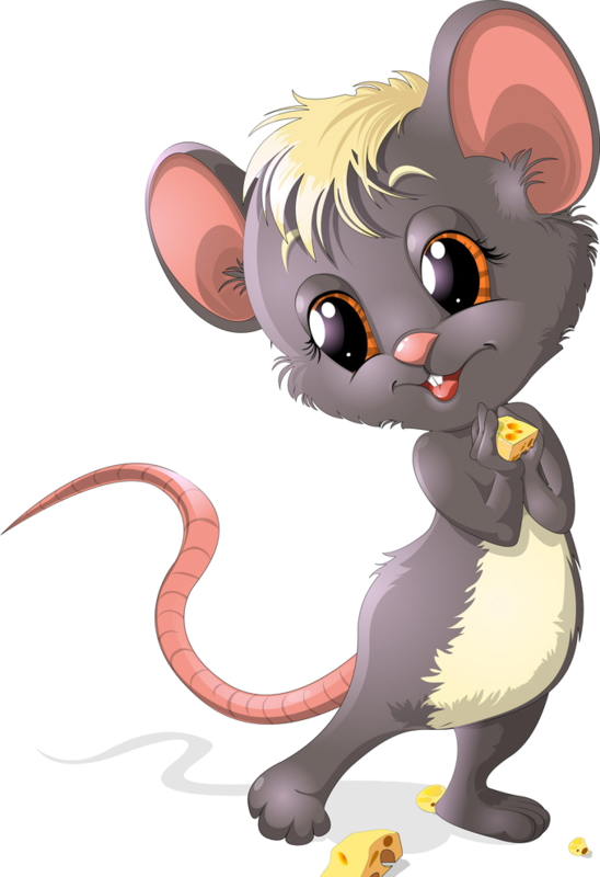 Mouse Animal Png - Tube Souris Png (548x800), Png Download