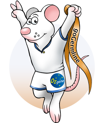 Gogermline Is The Winner - Cartoon (400x400), Png Download
