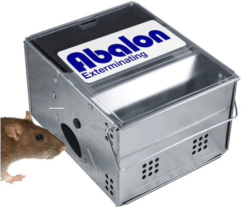 Abalon Begins With A Complete Inspection Of All Areas - Kness Knes5 Ketch All Clear Lid (500x438), Png Download