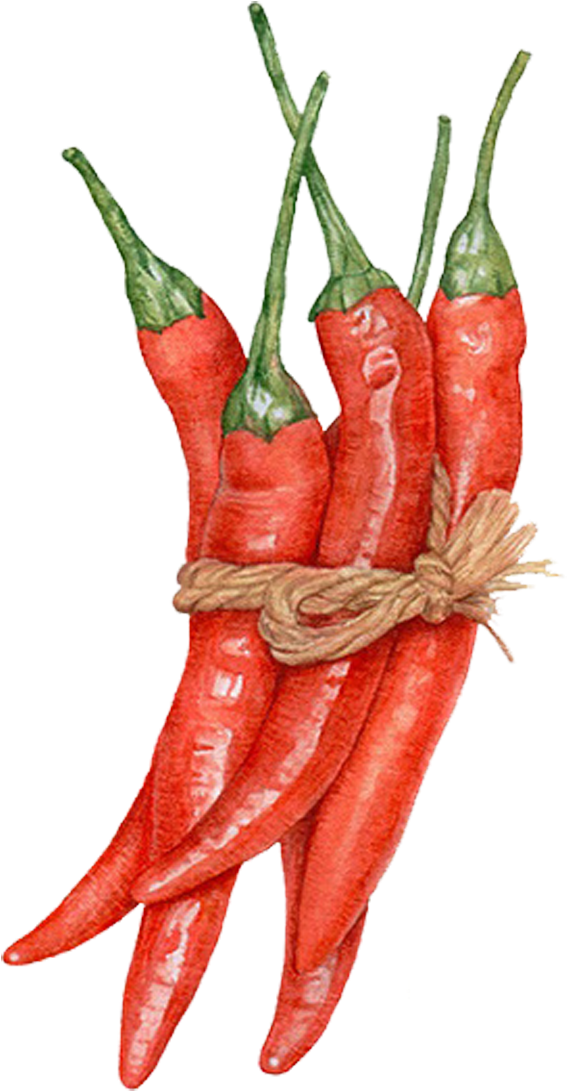 Capsicum Annuum Painting Pepper - Orange Chili Pepper Painting (813x1154), Png Download