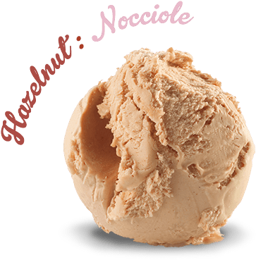 Hazelnut - Hazelnut Ice Cream Scoop (490x399), Png Download