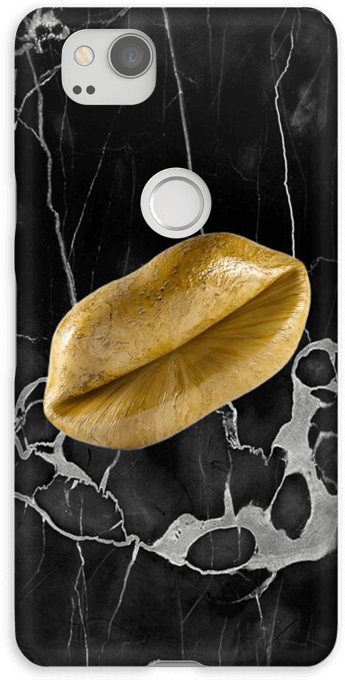 Golden Kiss Case Pixel (484x800), Png Download