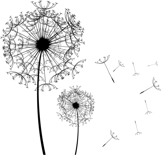 Diente De León Png (710x592), Png Download