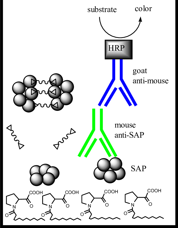 Bivalent Inhibitor Mediates Face To Face Dimerization (738x944), Png Download