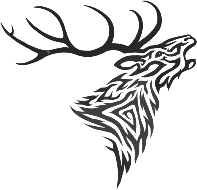 Stag Vector Celtic (801x997), Png Download