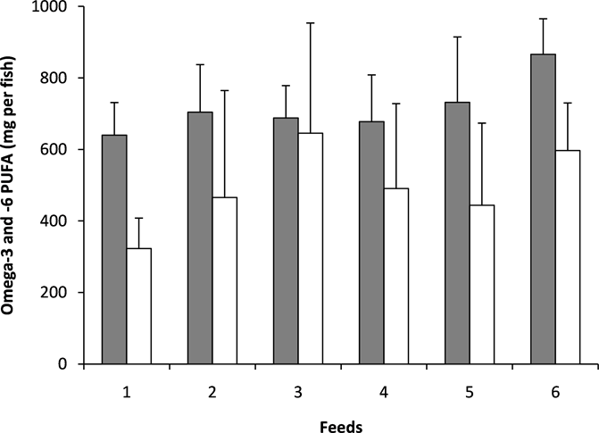 Contents Of Omega 3 (grey Bars) And Omega 6 (white (671x485), Png Download