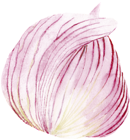 Transparente La Cebolla Morada Png Ornamental (1024x1084), Png Download