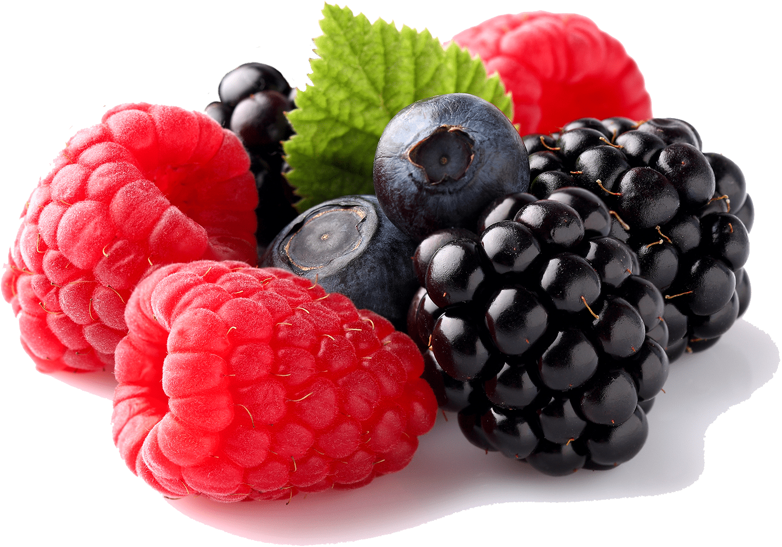 Las Moras Son Las Frutas Dulces Y Colgantes De Un Género (1822x1500), Png Download