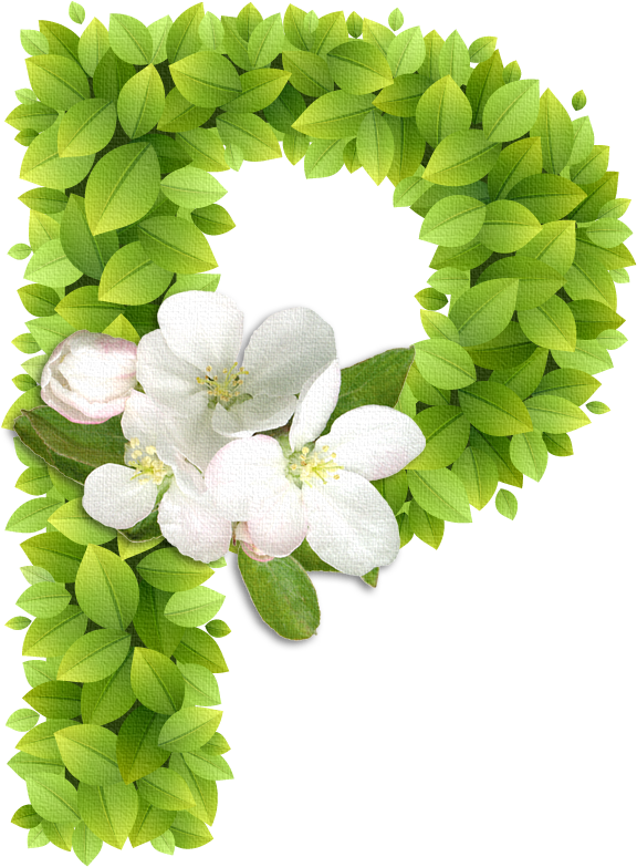 Enredaderas Png (607x852), Png Download