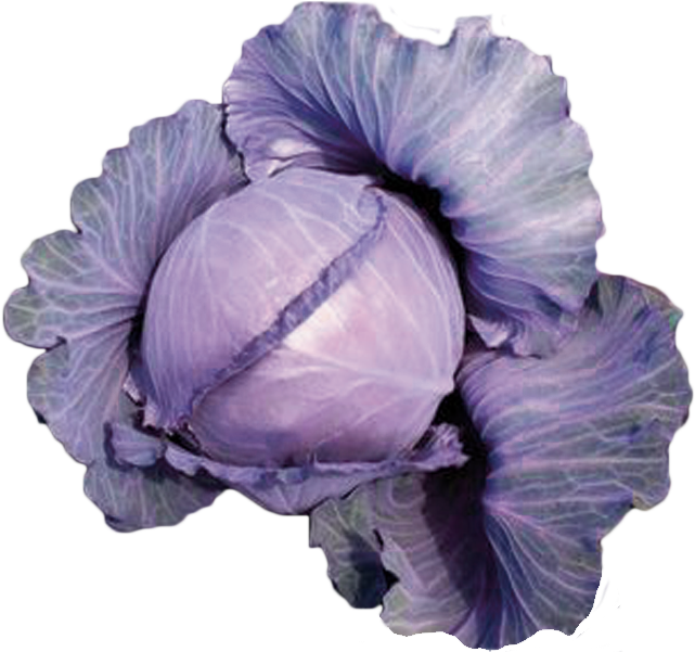 Haga Una Pregunta Sobre Este Producto (801x601), Png Download