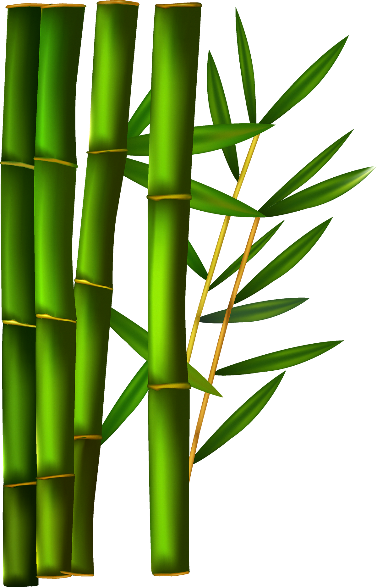 Green Bamboo Png Clipart Library - Bamboo Back Ground Vector (1200x1867), Png Download