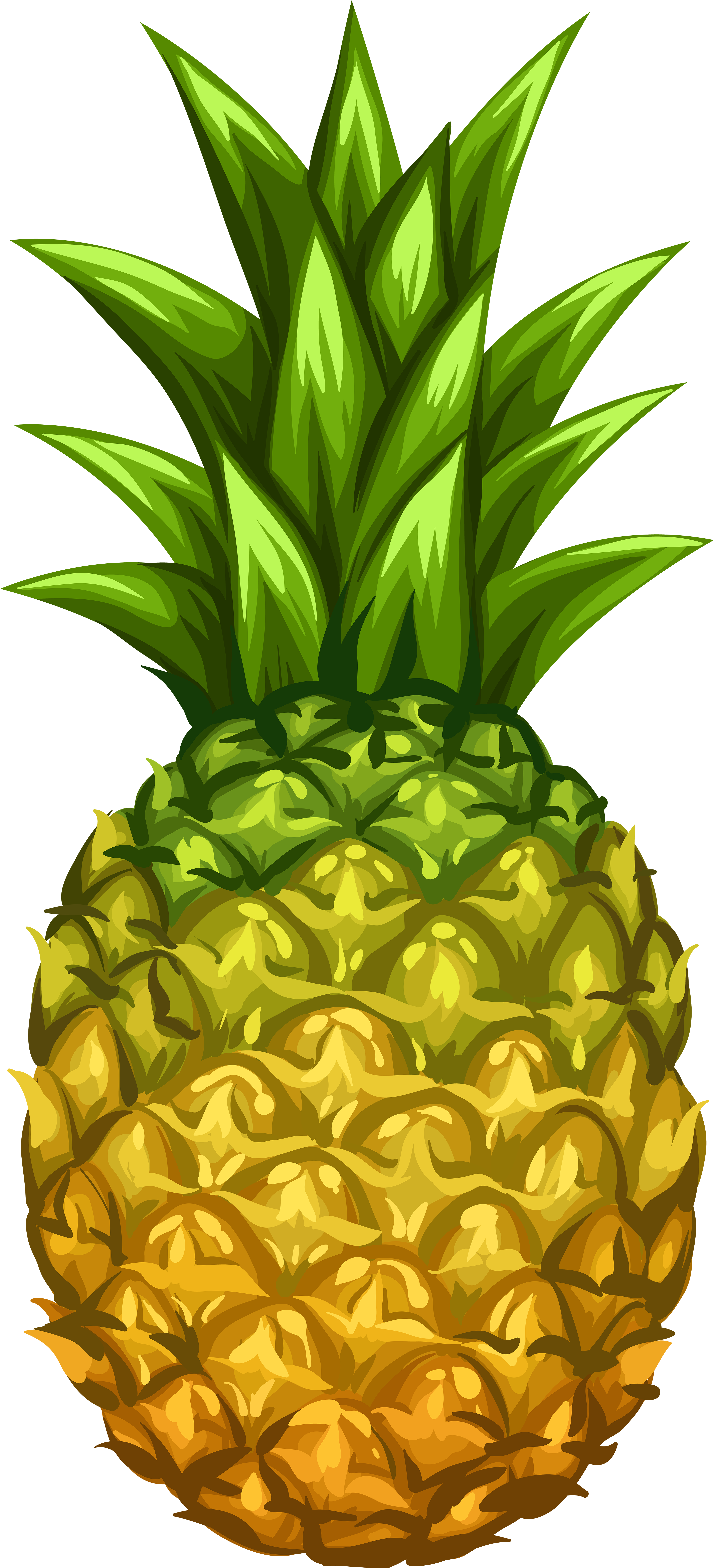 Pineapple Png (3643x8000), Png Download