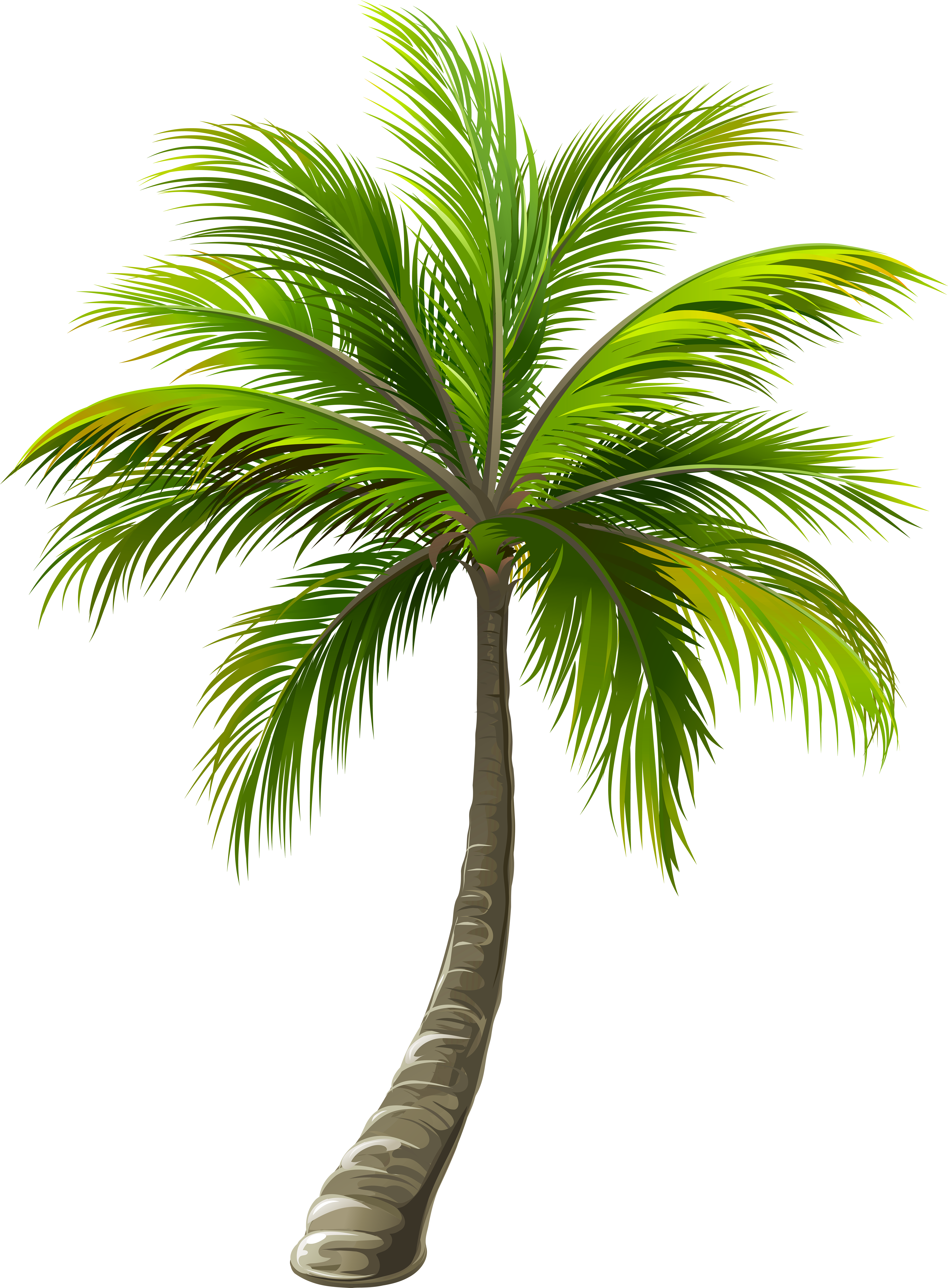 Png Library Download Palm Png Clip Art Image Gallery (5956x8000), Png Download