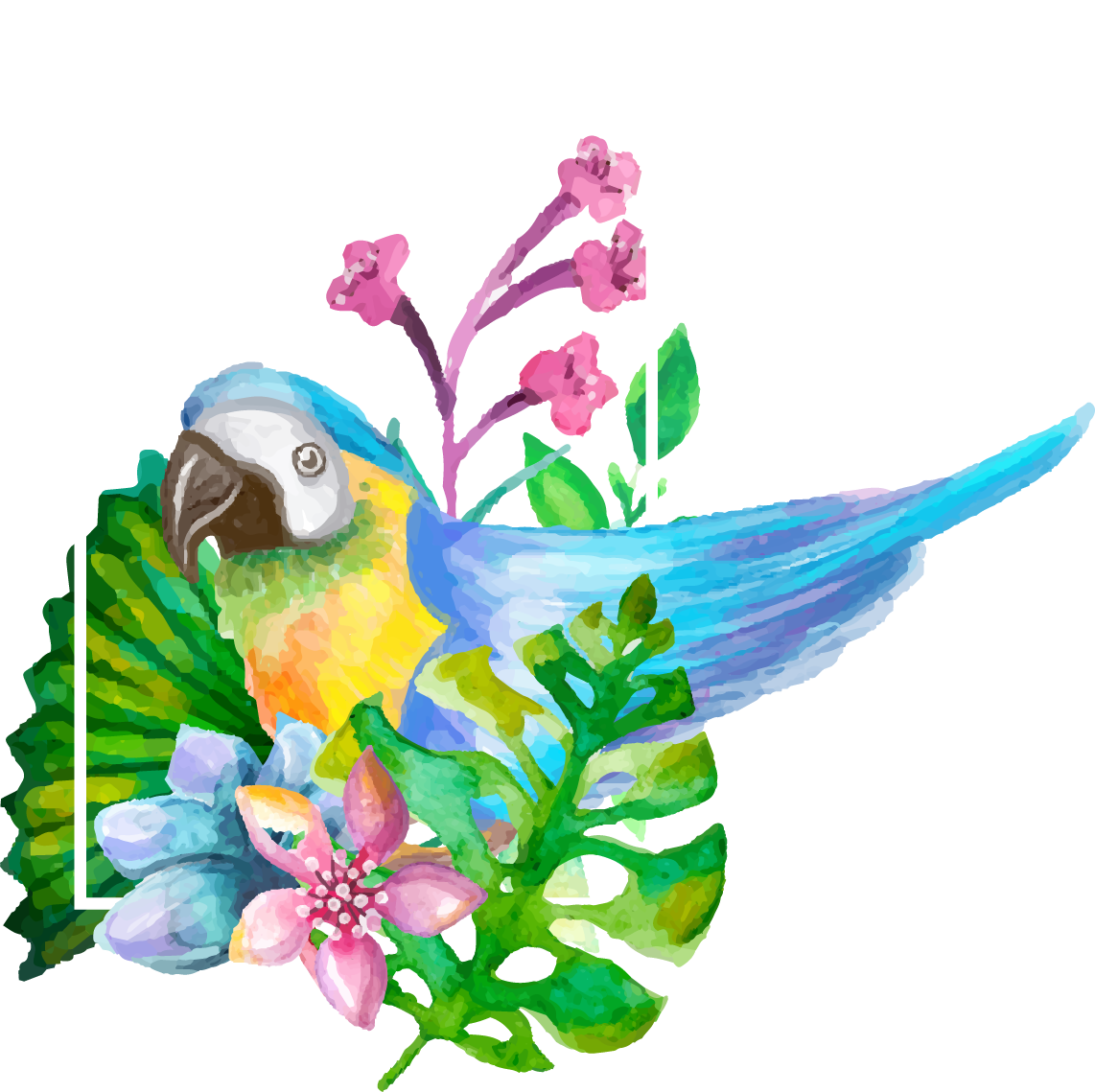 Picture Royalty Free Library Cilantro Drawing Watercolor - Drawing (1142x1139), Png Download