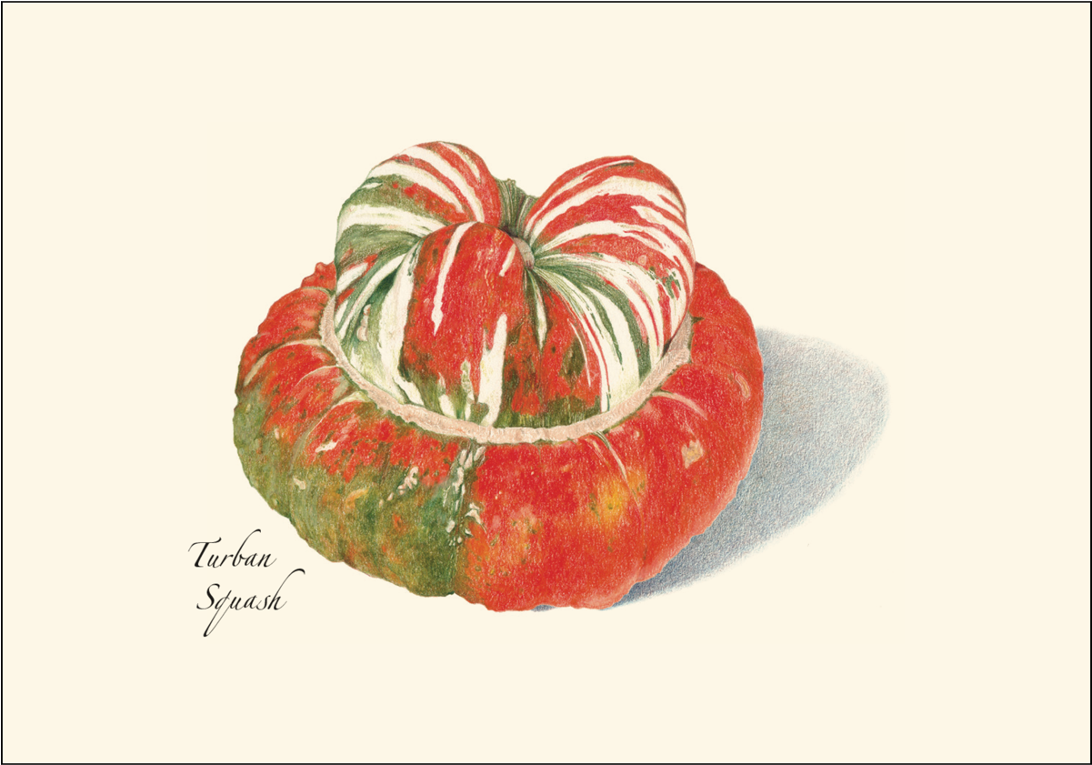 Shopping Cart -  -  - Colored Pencil (1200x1200), Png Download