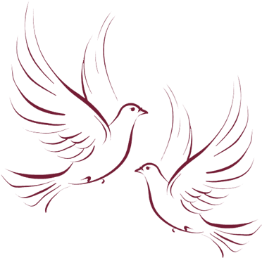 Wedding Doves Background Png - Dove (400x414), Png Download