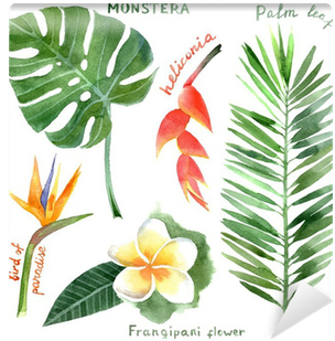 Multi Tassel Hoop Earrings (400x400), Png Download