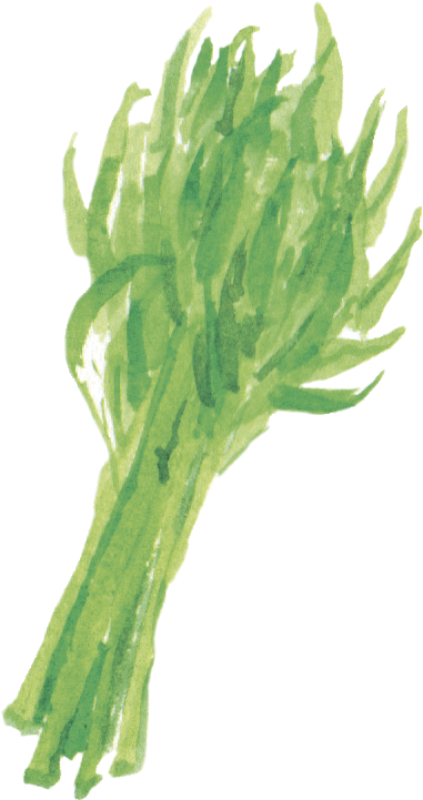 空心菜 Water Spinach - Sea Lettuce (381x721), Png Download