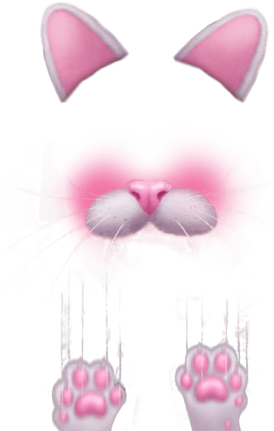 Icons Logos Emojis - Cat Face Snapchat Png (422x666), Png Download