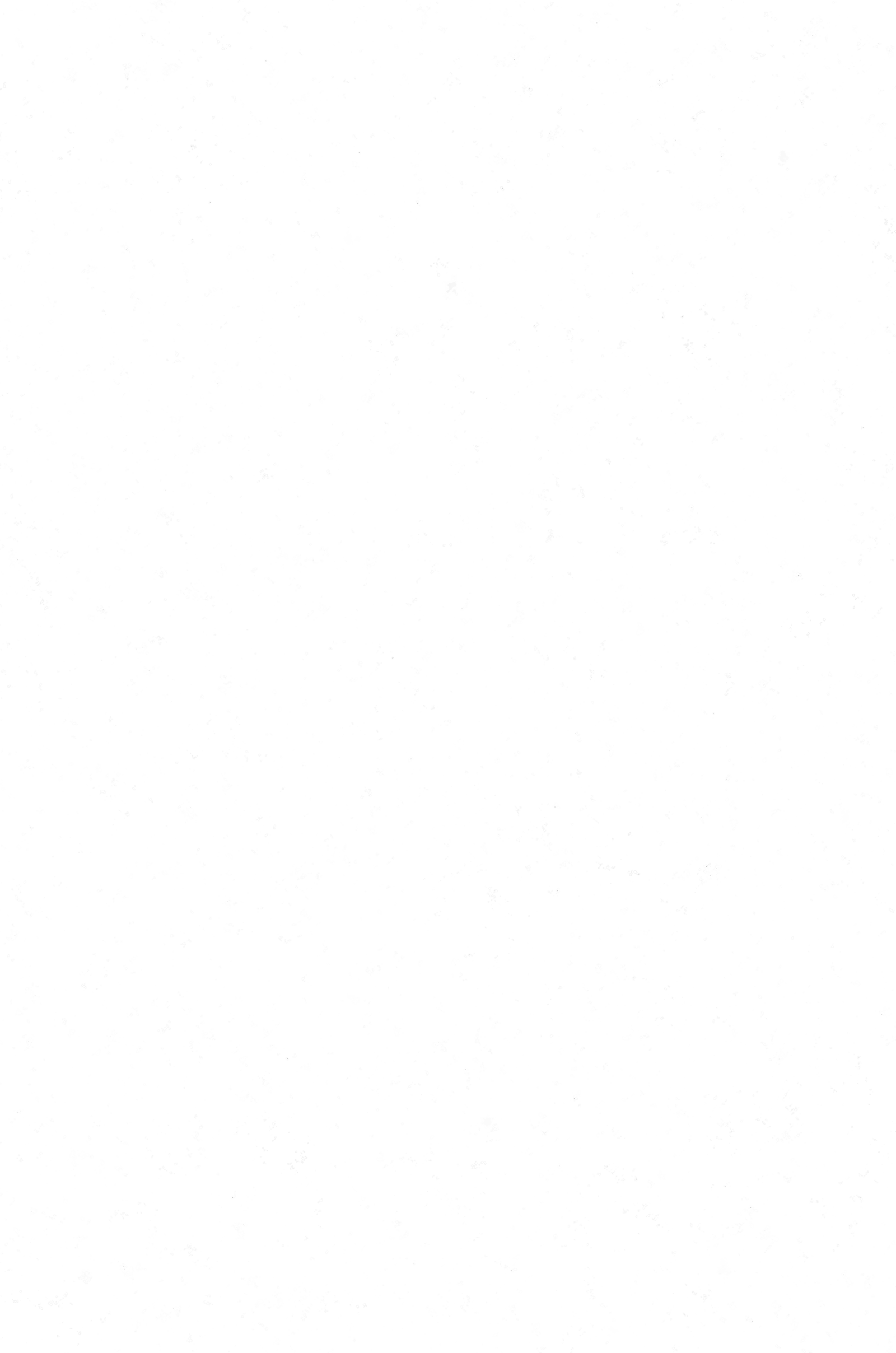 White Stars Png - Ivory (1600x2416), Png Download