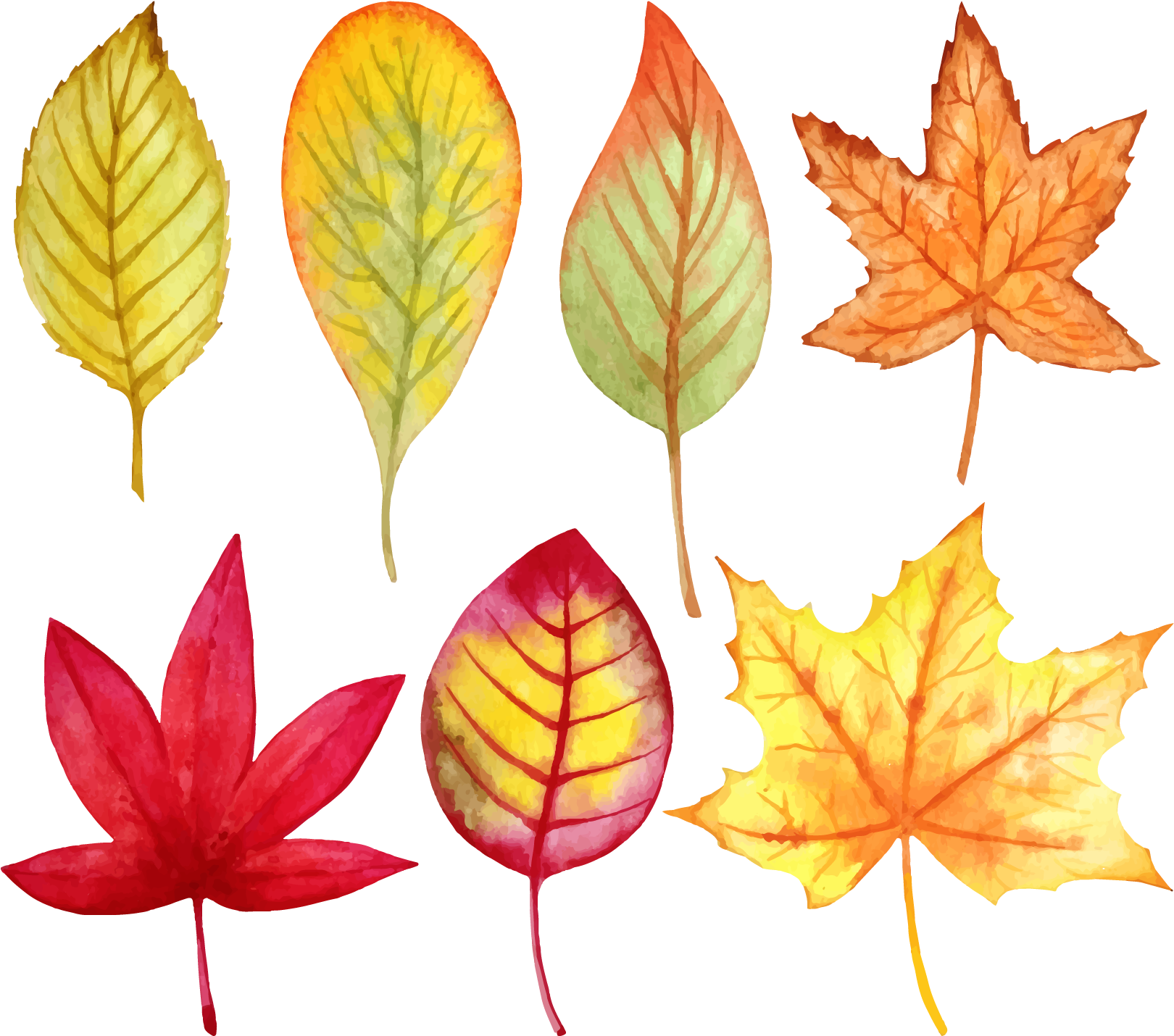 Leaf Watercolor Painting Autumn - Leaves Watercolor Vector (1711x1502), Png Download