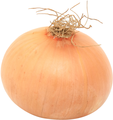 Download Onion Png Image - Onion (500x520), Png Download