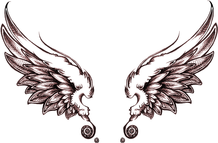 Wings Tattoos Clipart Transparent Background - Dark Angel Wings Drawing (840x570), Png Download
