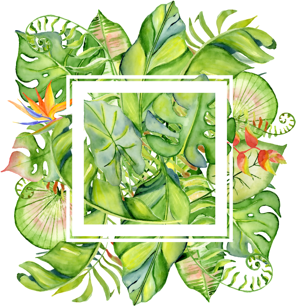 Painted Tropical Leaves Frame Png Transparent About (1024x1024), Png Download
