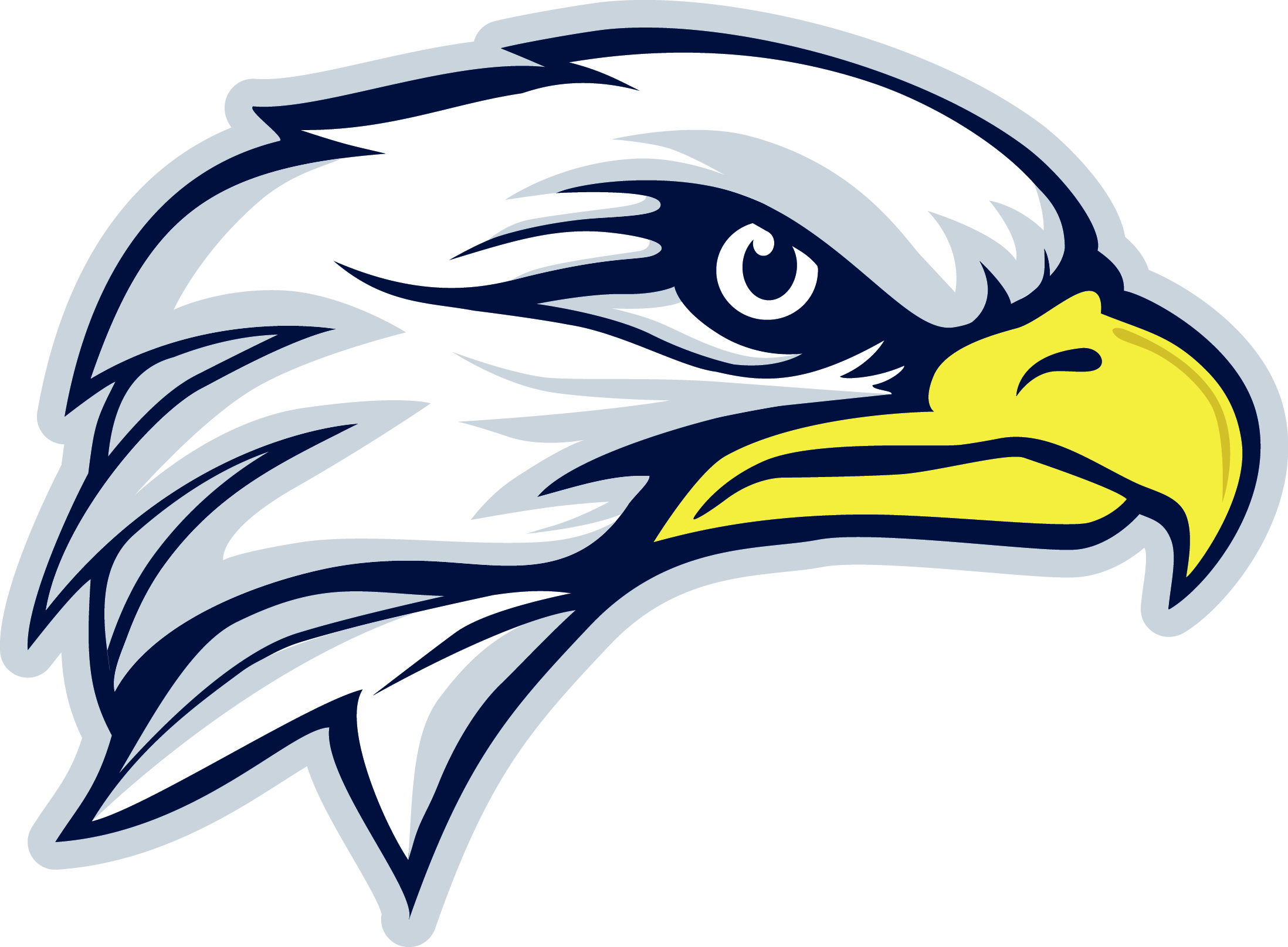 Eagle Head Png Download Image - Eagle Head Transparent (2196x1616), Png Download