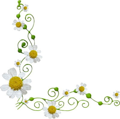 Daisy Flower Border Marguerite Fleur - Daisy Flower Border Png (400x397), Png Download
