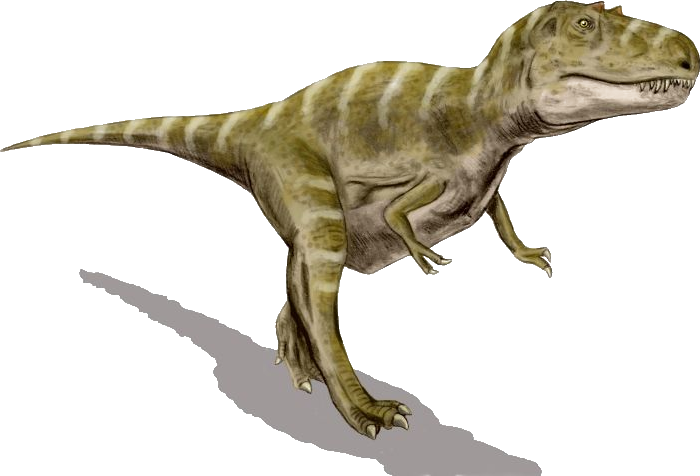 Gorgosaurus Bw Transparent - ゴルゴ サウルス 画像 (700x476), Png Download