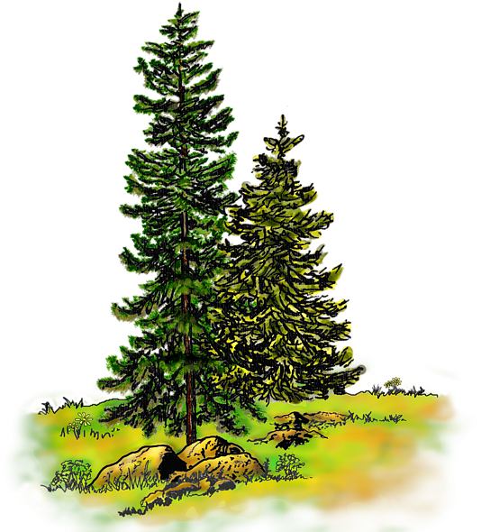 Click And Drag To Re-position The Image, If Desired - Watercolor Painting (600x612), Png Download