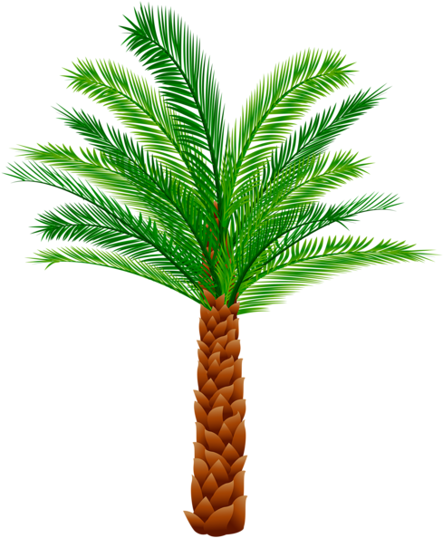 0, - Pond Pine (494x600), Png Download