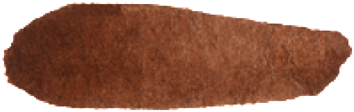 Graham Watercolors 15ml - Burnt Umber Water Colour (700x252), Png Download