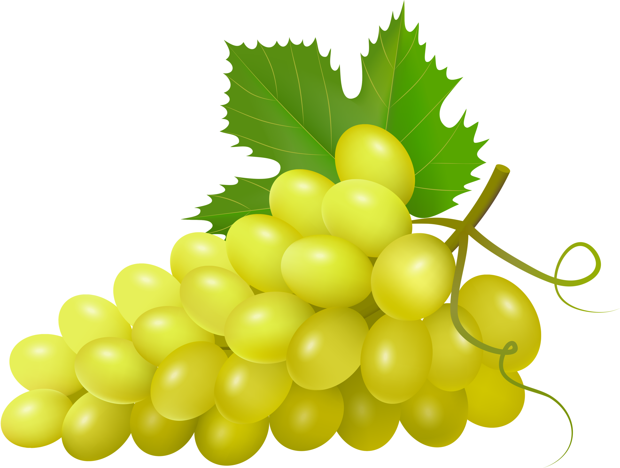Svg Royalty Free Grapes Clipart Watercolor - Vector Qua Nho (2560x1934), Png Download