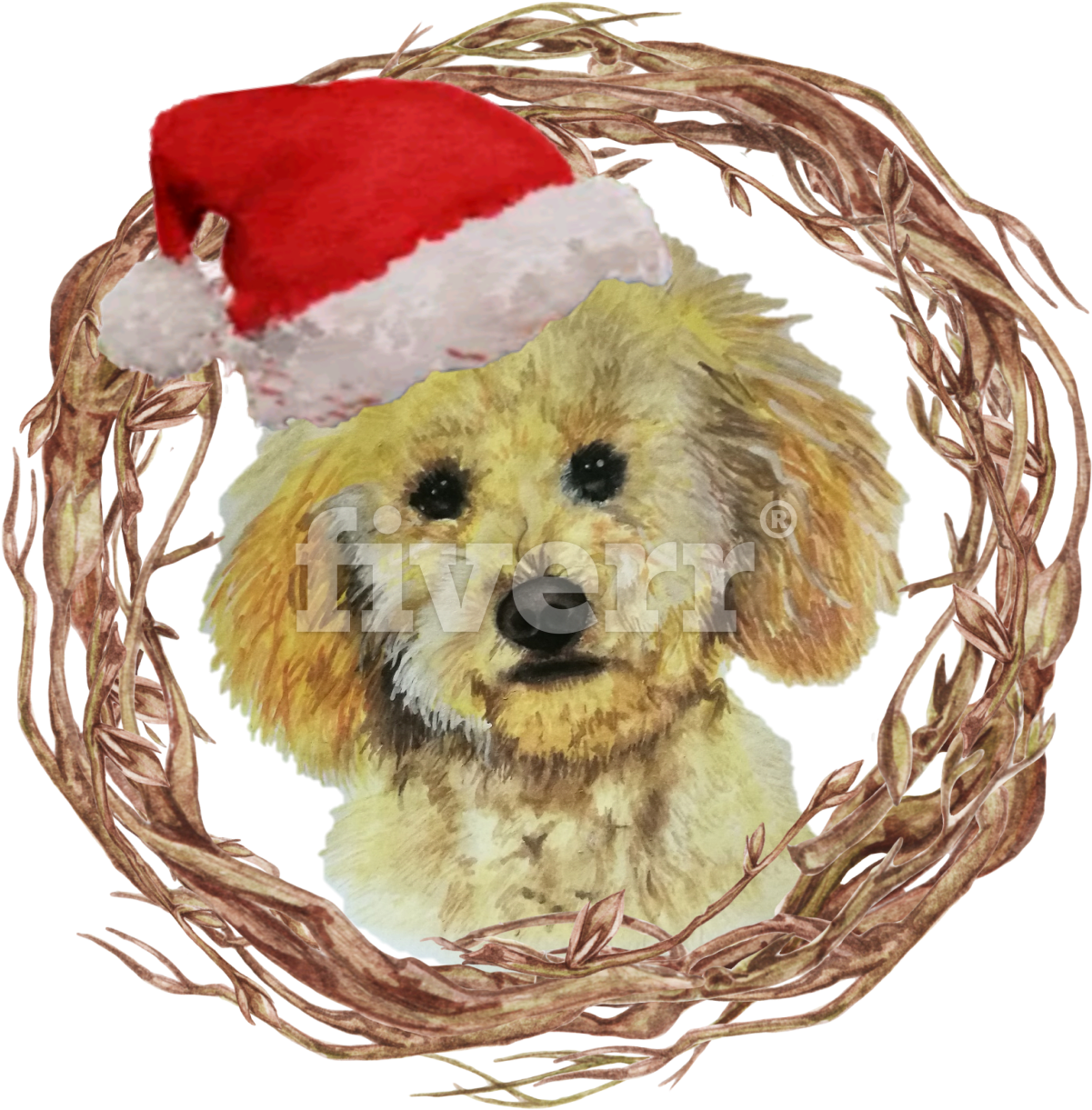 Toy Poodle (1200x1383), Png Download