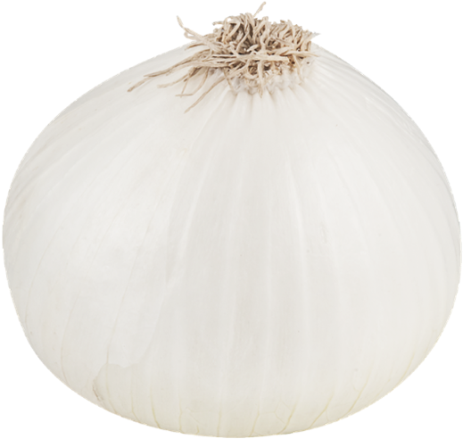 White Onion Png File - White Onion Png (600x555), Png Download