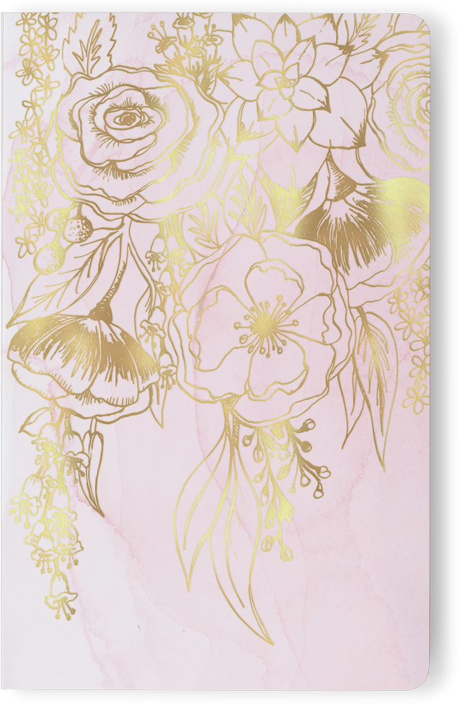 Elodie - Chinese Hibiscus (1200x1200), Png Download