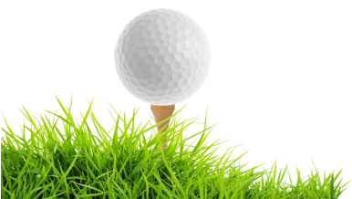 Wonderful Picture Images Transparentpng - Golf Ball Tee Png (385x320), Png Download