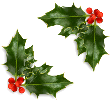 Ist2 4713662 Christmas Holly Corner Photo By Italia - Snowflake Earrings Silver Plated Studs (380x345), Png Download