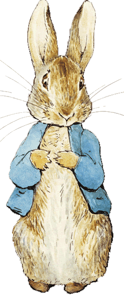 Dont Know Why, But Somehow This Picture Of Beatrix - Peter Rabbit Beatrix Potter Characters (252x596), Png Download