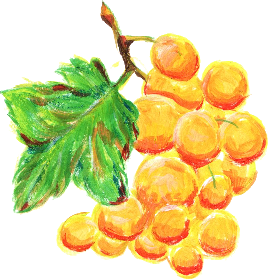 Free Download - Seedless Fruit (911x955), Png Download