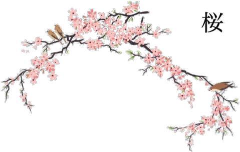 Picture Royalty Free Japanese Flowers Blossoms - Japan Cherry Blossom Art (500x321), Png Download