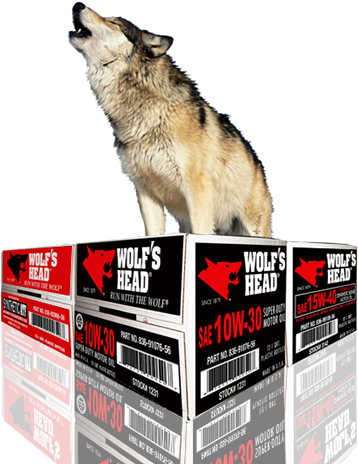 Since 1879, Wolf's Head Oil Company Has Been Producing - Wolf Head Motor Oil (387x477), Png Download