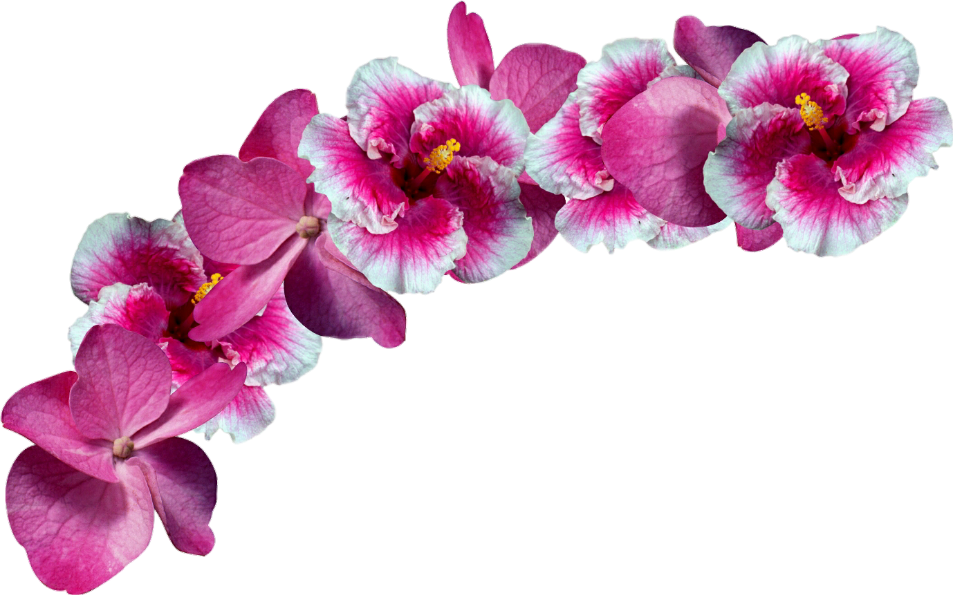 Flower Crown Png Transparent Flower (1378x861), Png Download